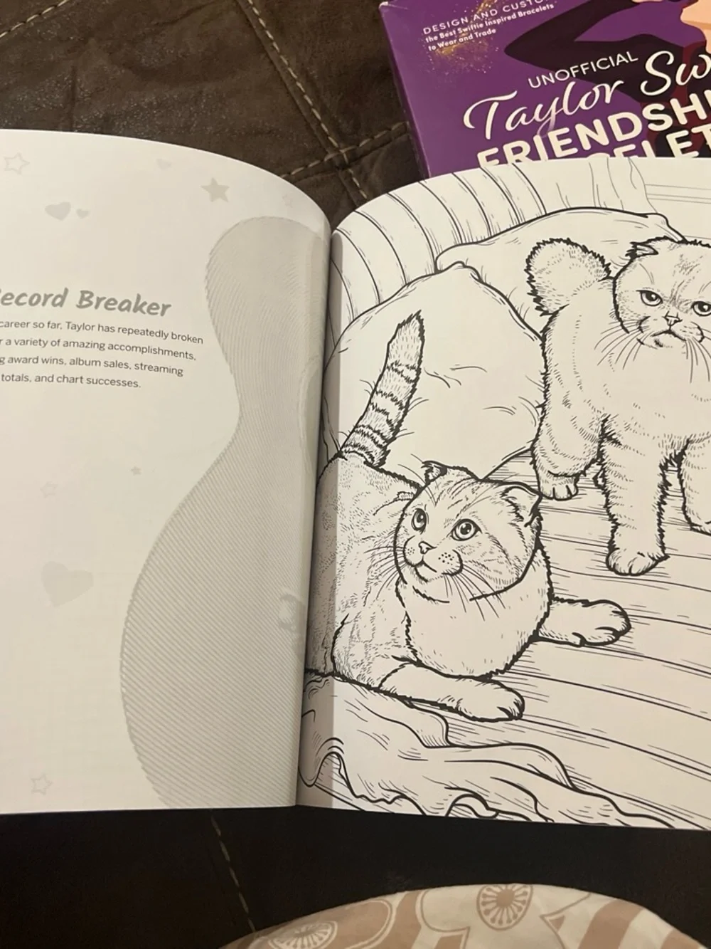 Taylor Swift Coloring/Activity book and Friendship Bracelet Kit Set